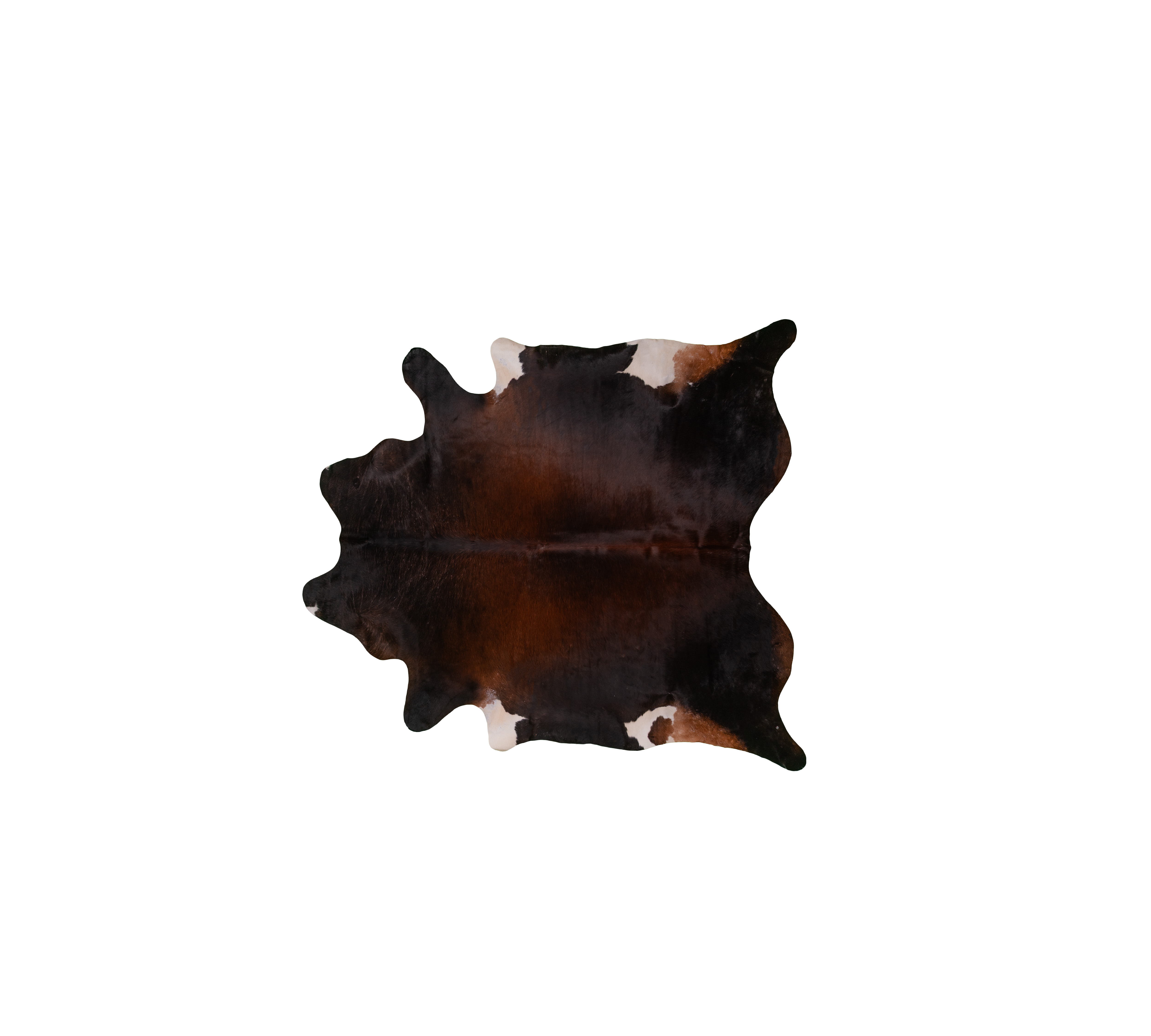 Vintage Cowhide 3-4 m²