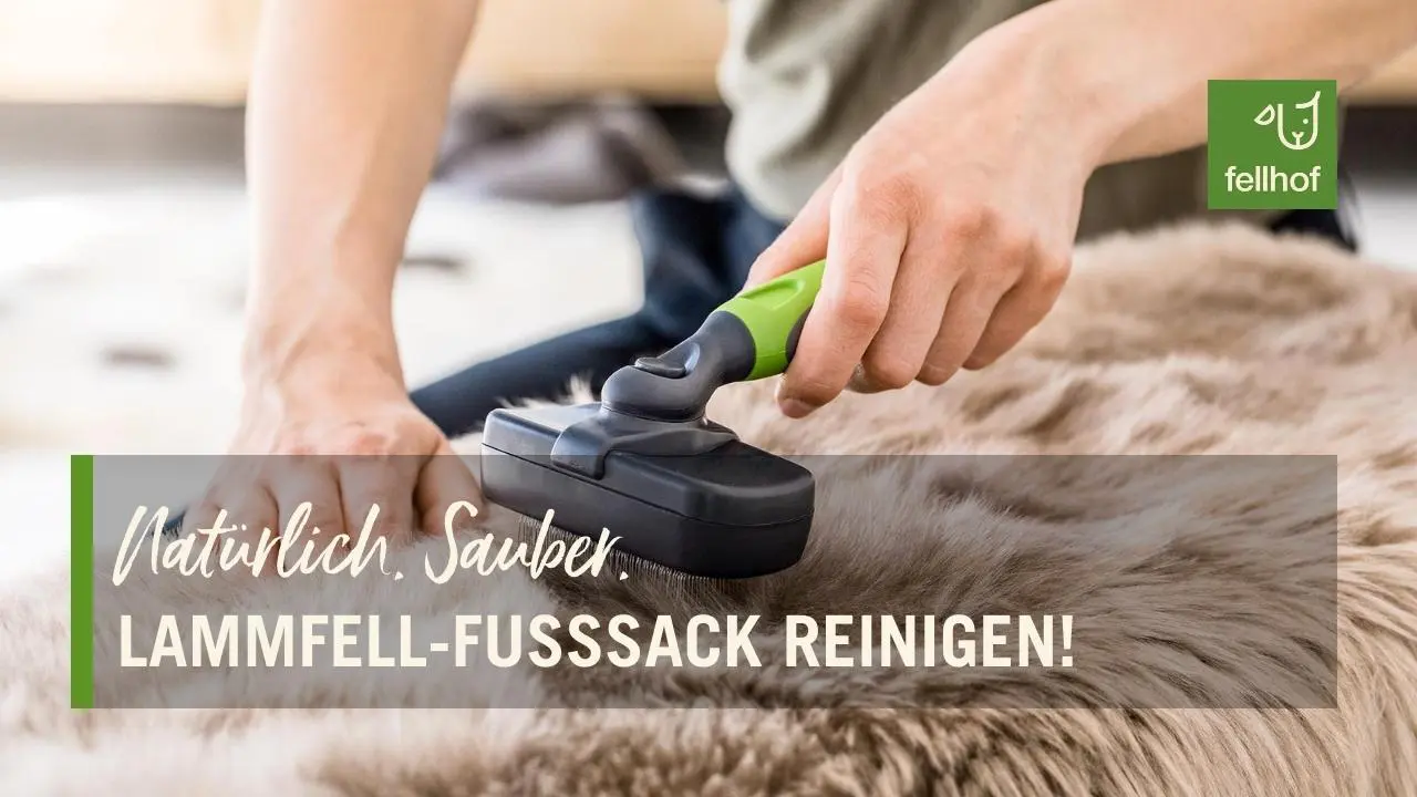 Lammfellfußsack reinigen