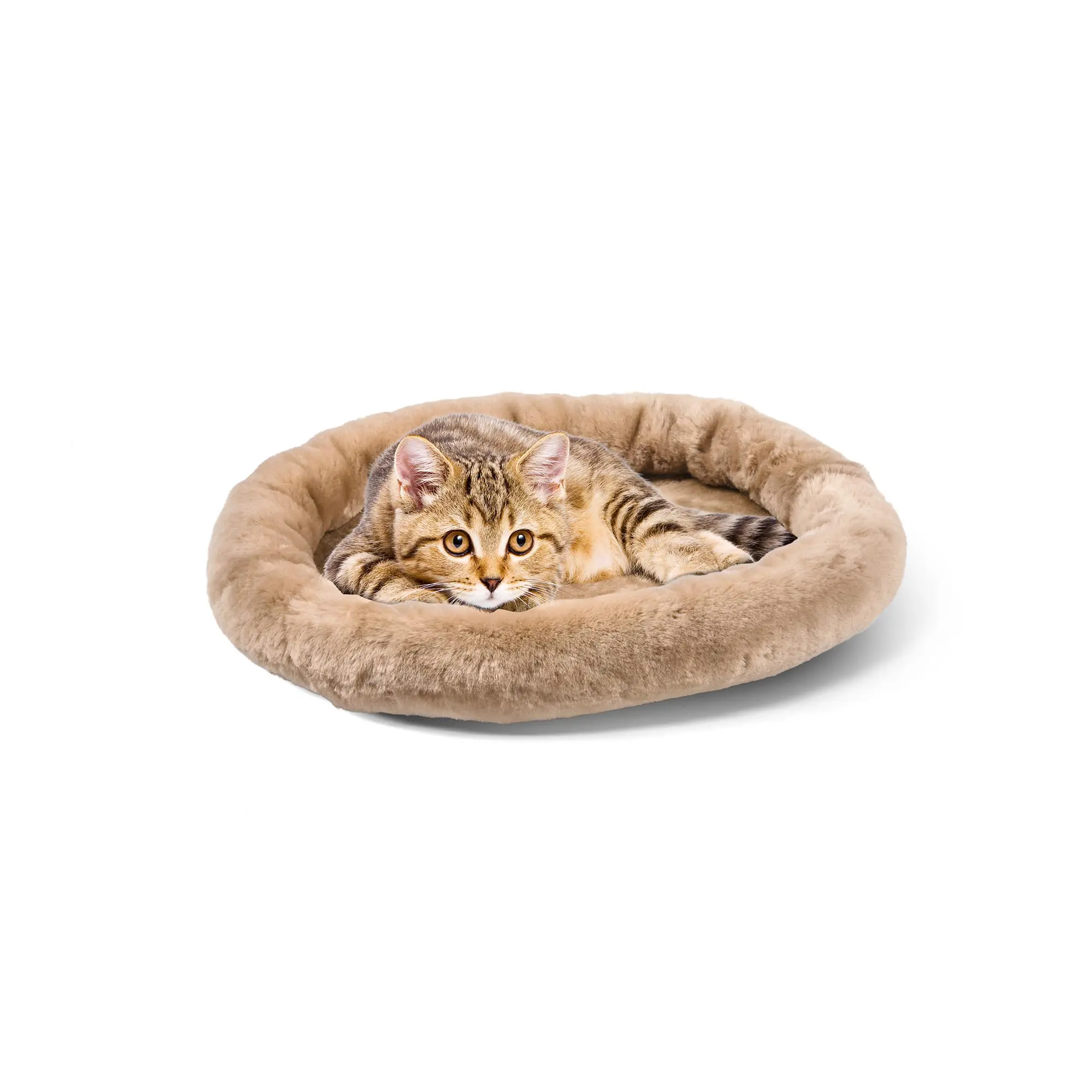 Flat cat bed hotsell