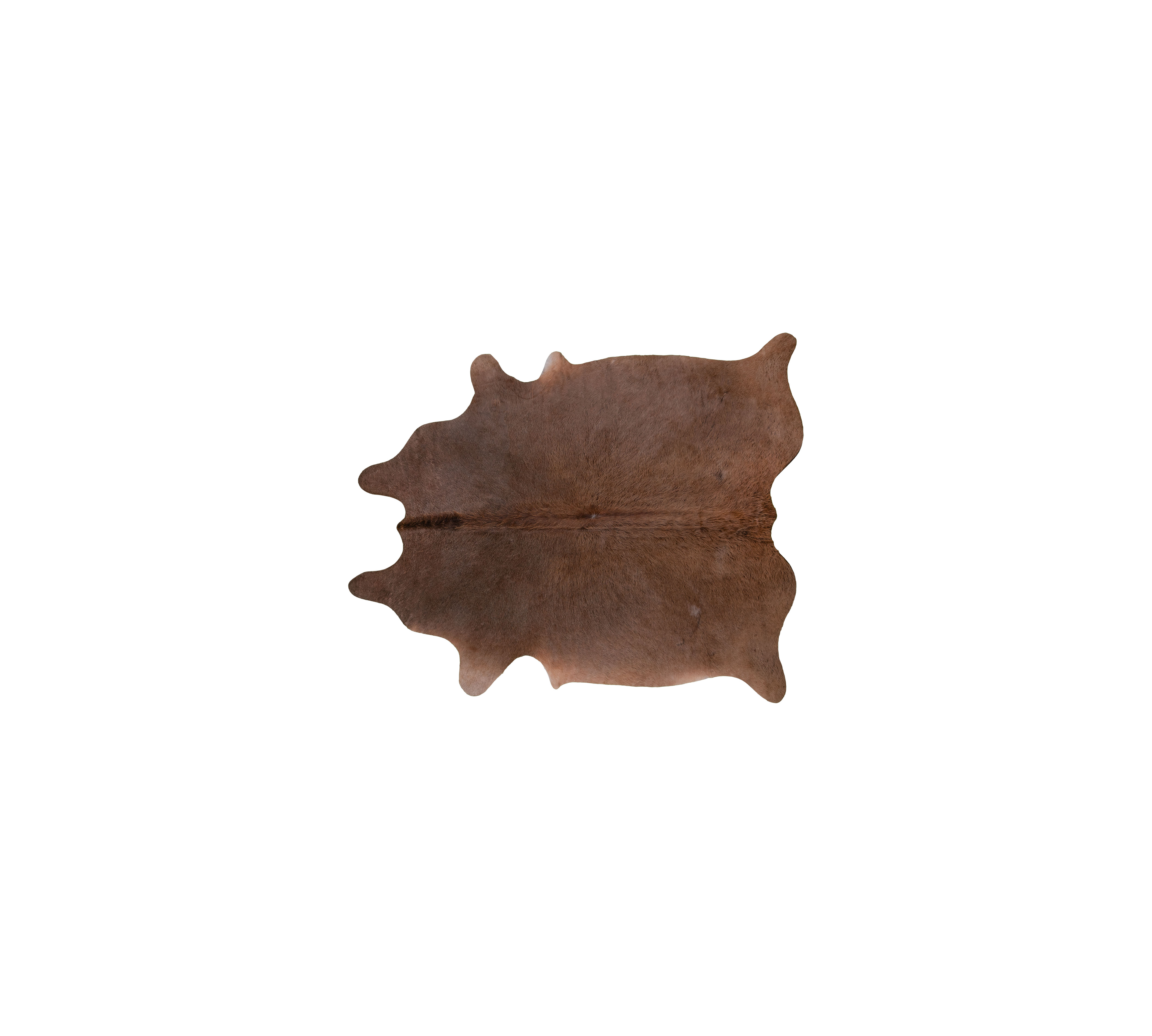 Vintage Cowhide 2-3 m²