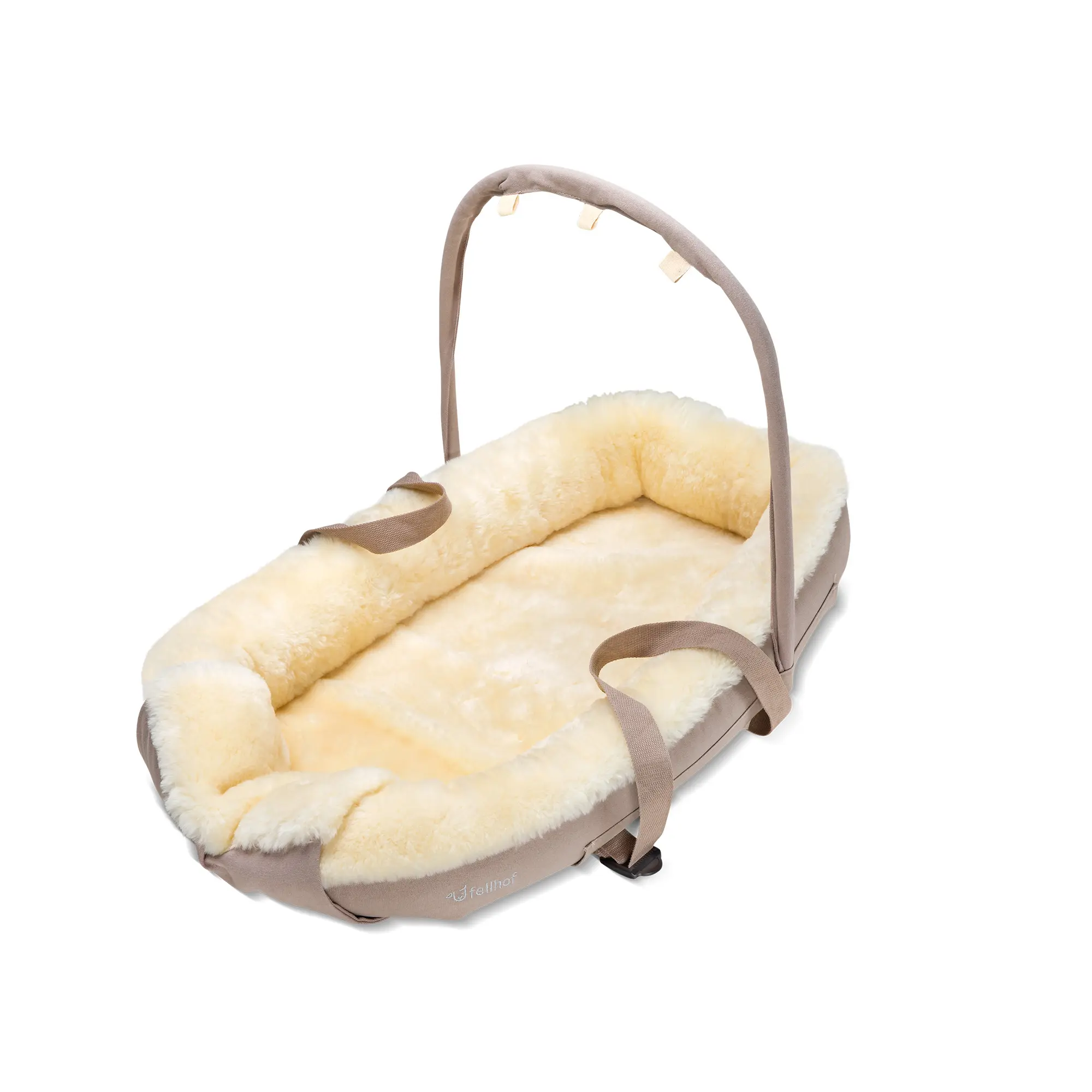 Babynestchen Grünschnabel