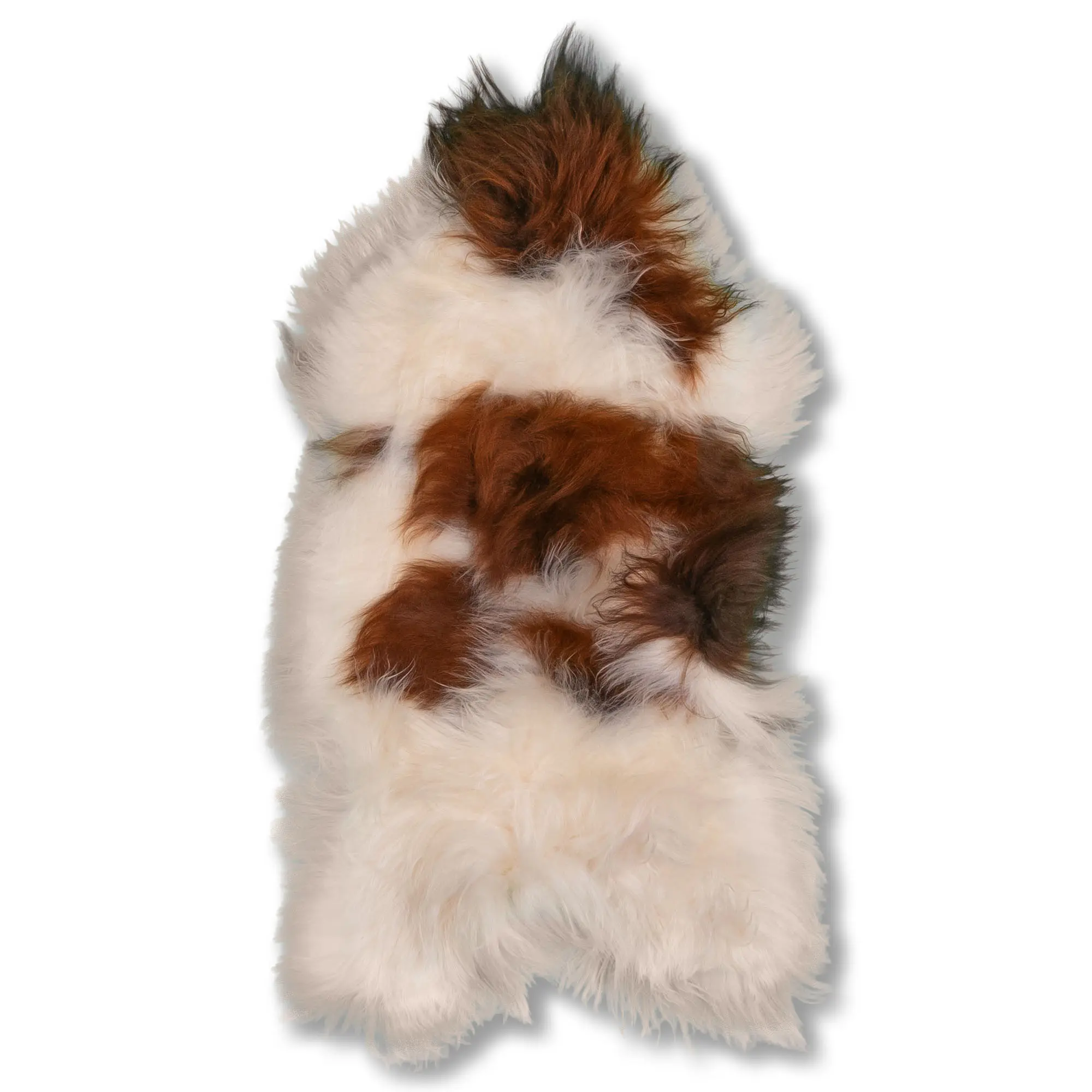 Islandfell natur gefleckt 100-110 cm