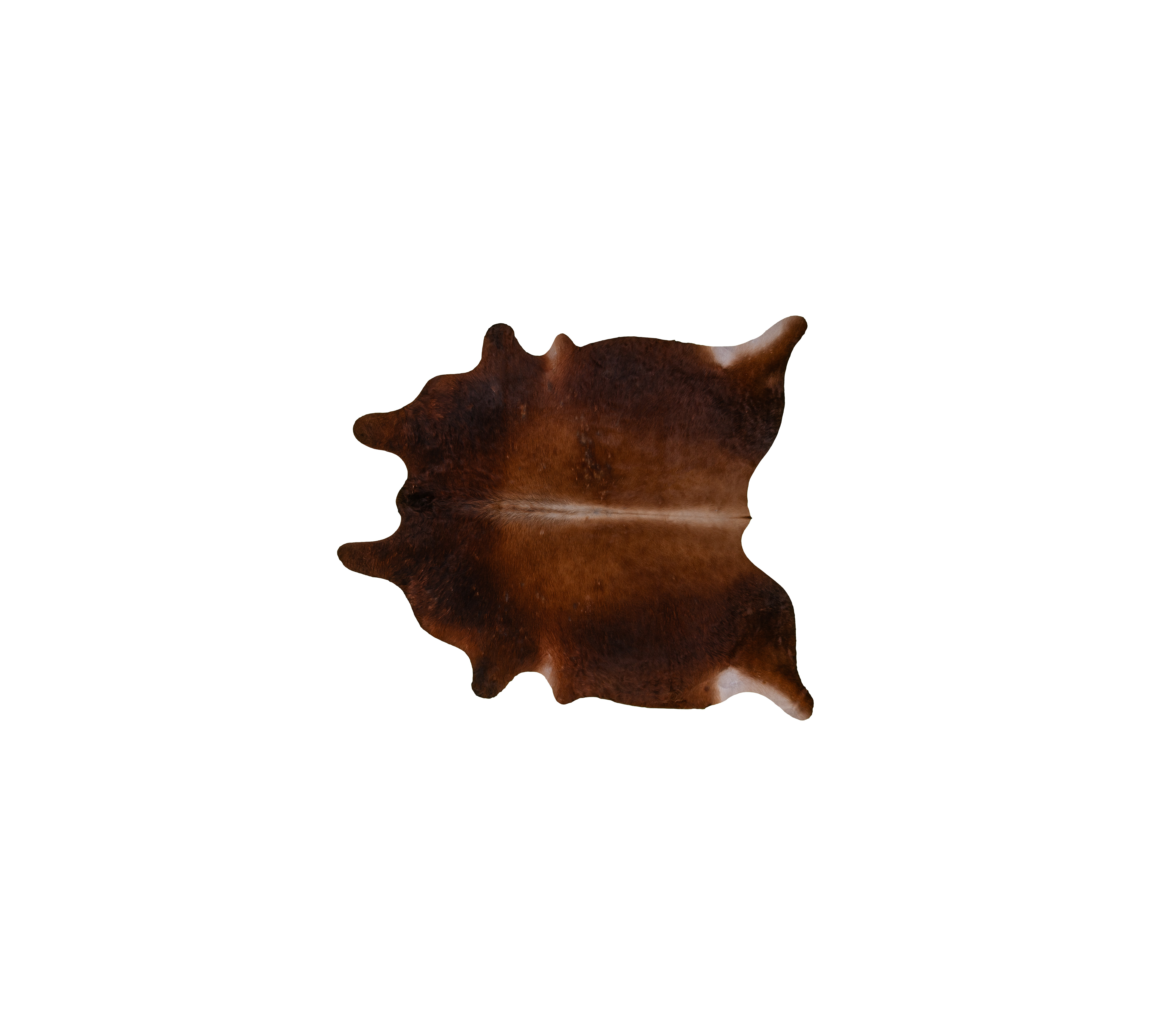 Vintage Cowhide 2-3 m²