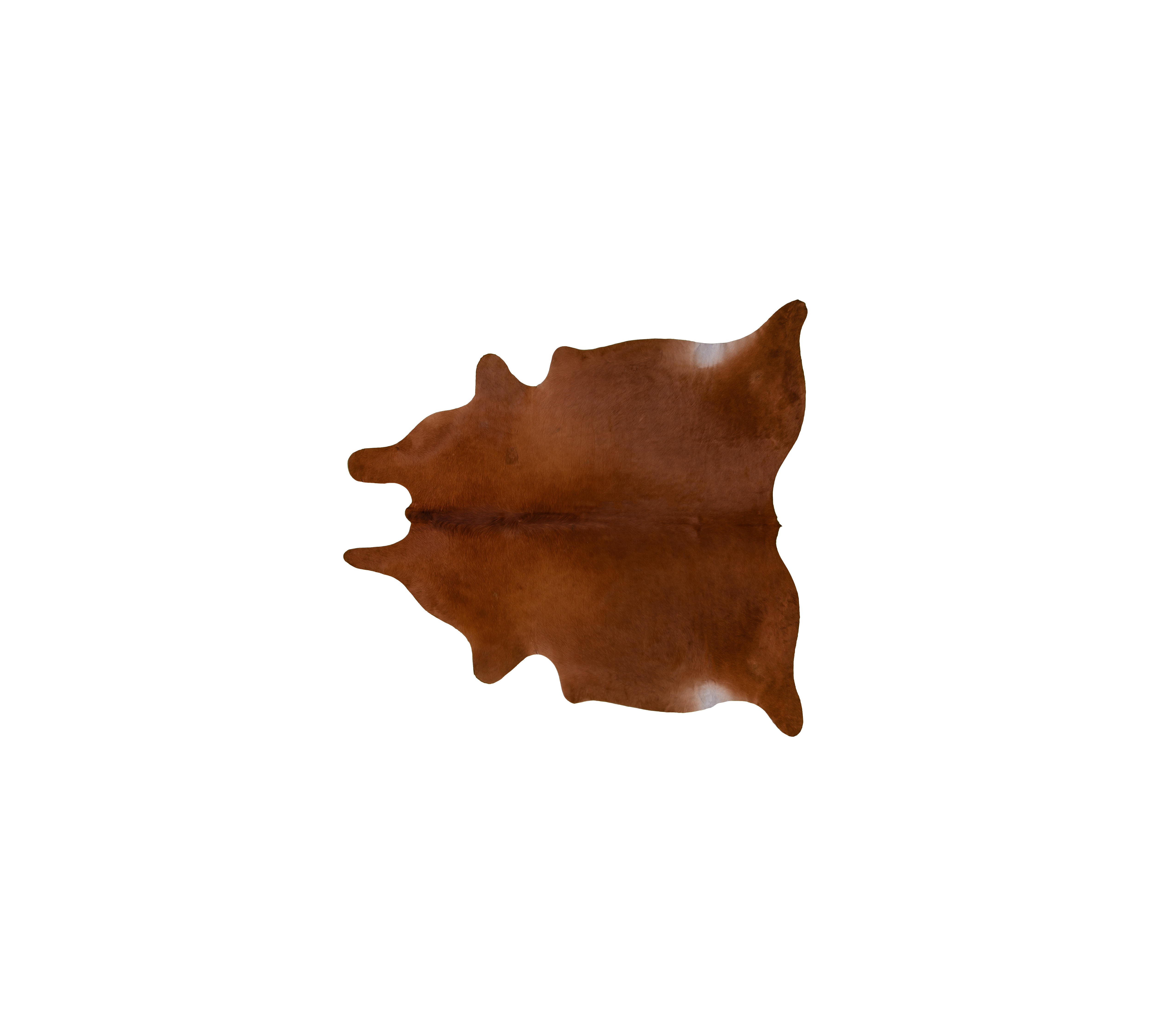 Vintage Cowhide 2-3 m²
