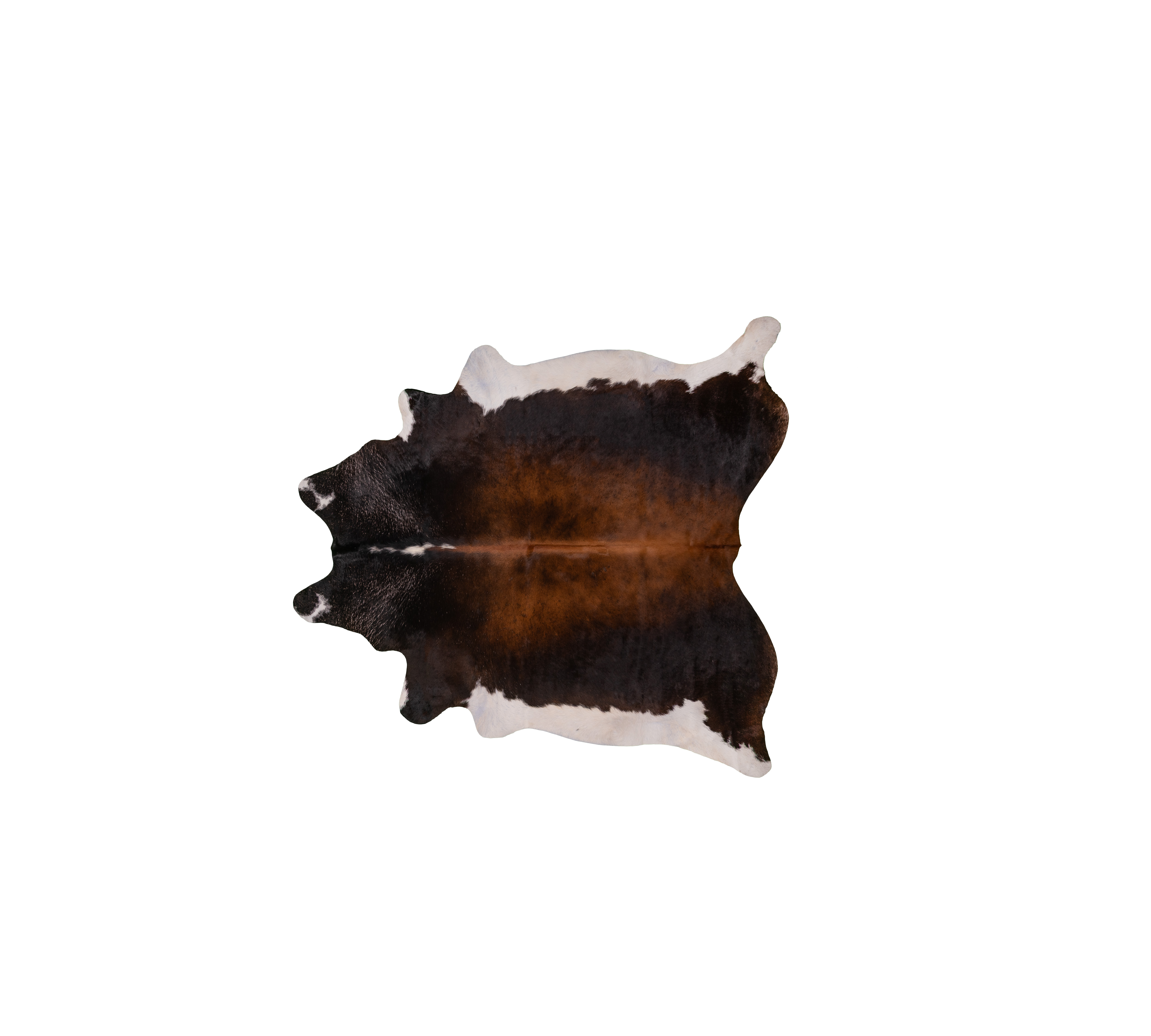 Vintage Cowhide 3-4 m²