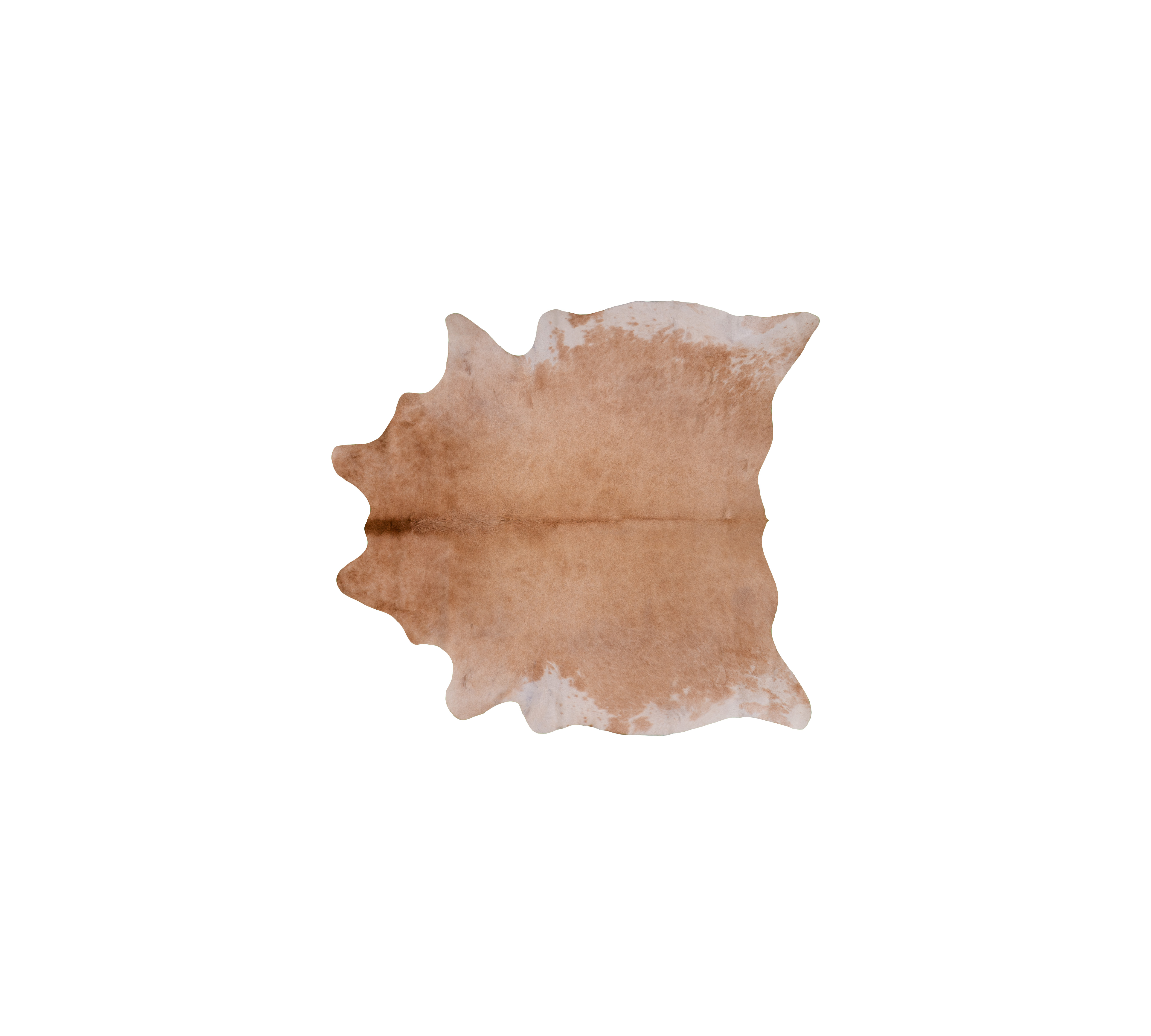 Vintage Cowhide 3-4 m²