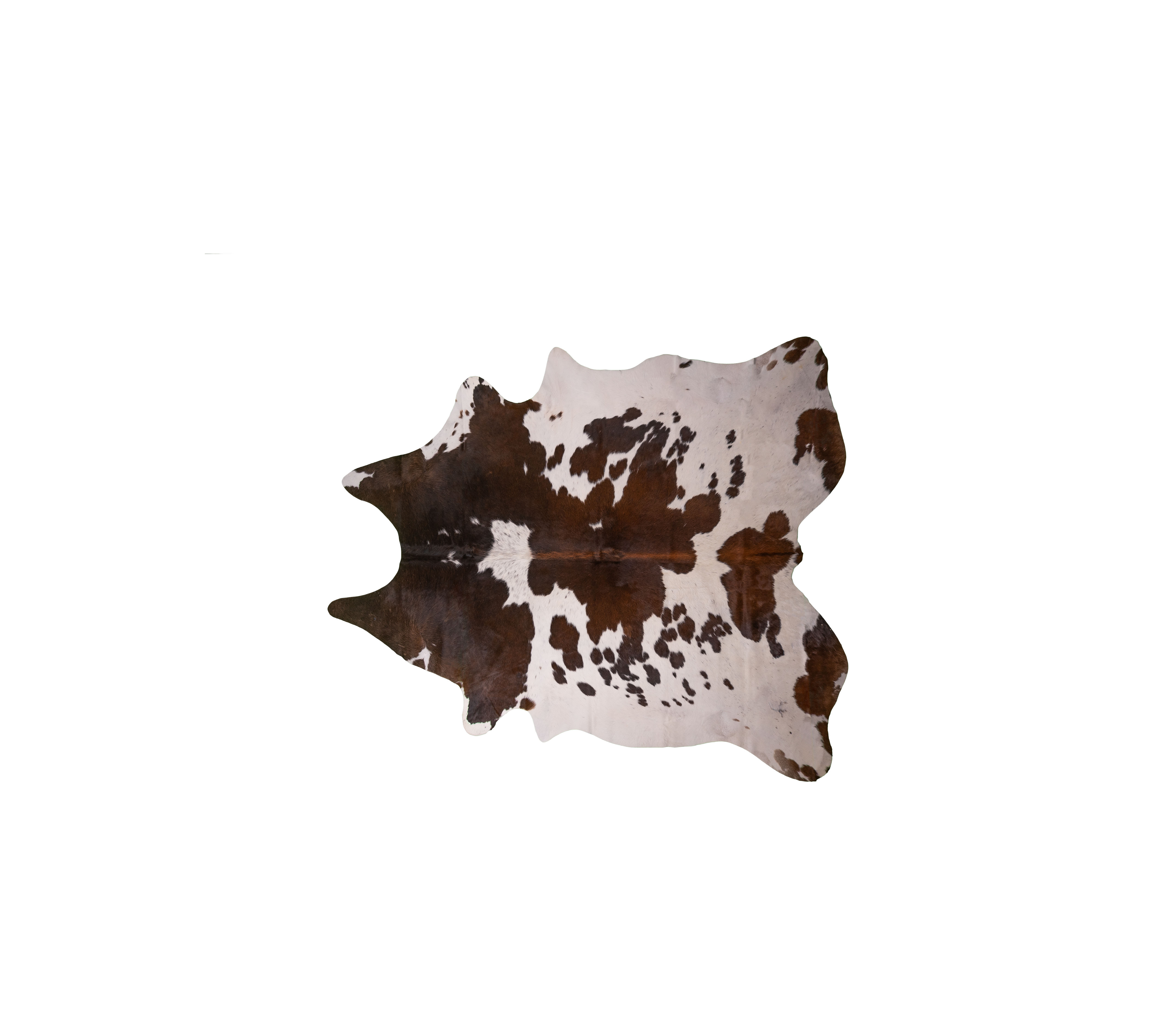 Cowhide, Brown-and-White 3-4 m²