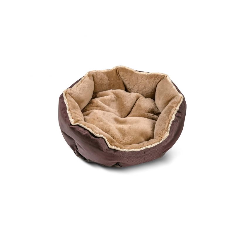 Dog bed shop buy online