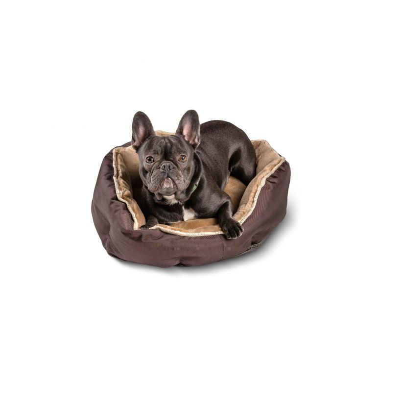 Padded Dog Bed